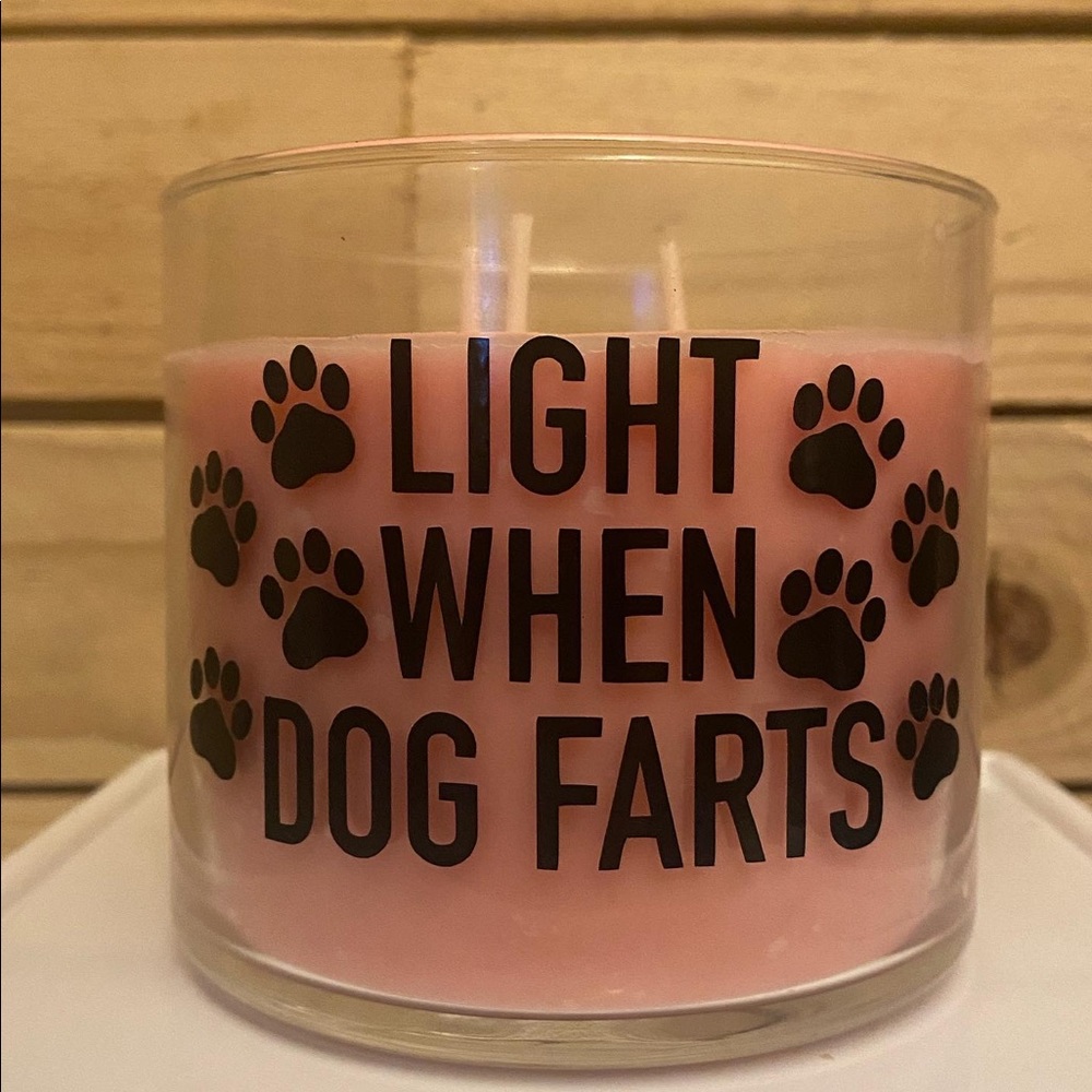 Light when Dog Farts Candle